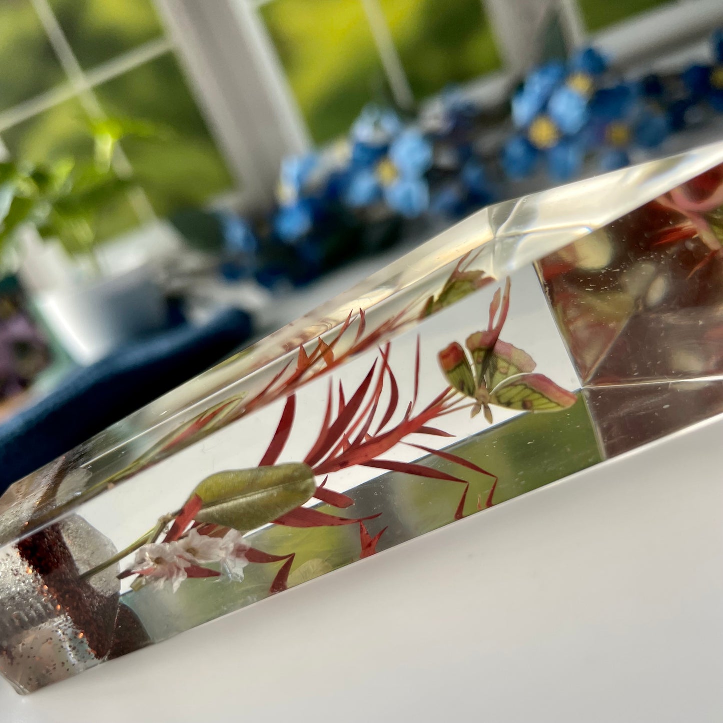 Butterfly Landing Bottle Opener