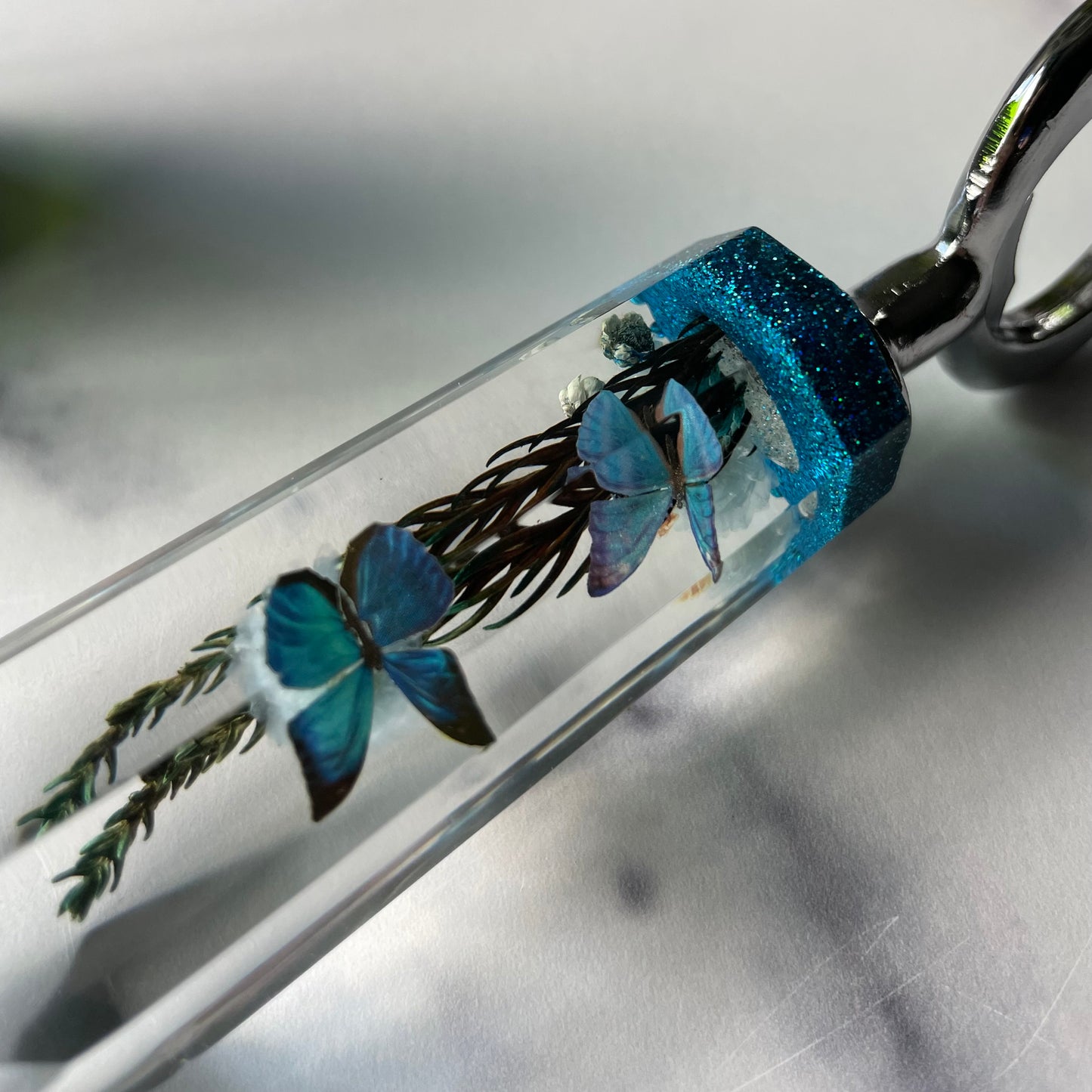 Morpho Landing Bottle Opener