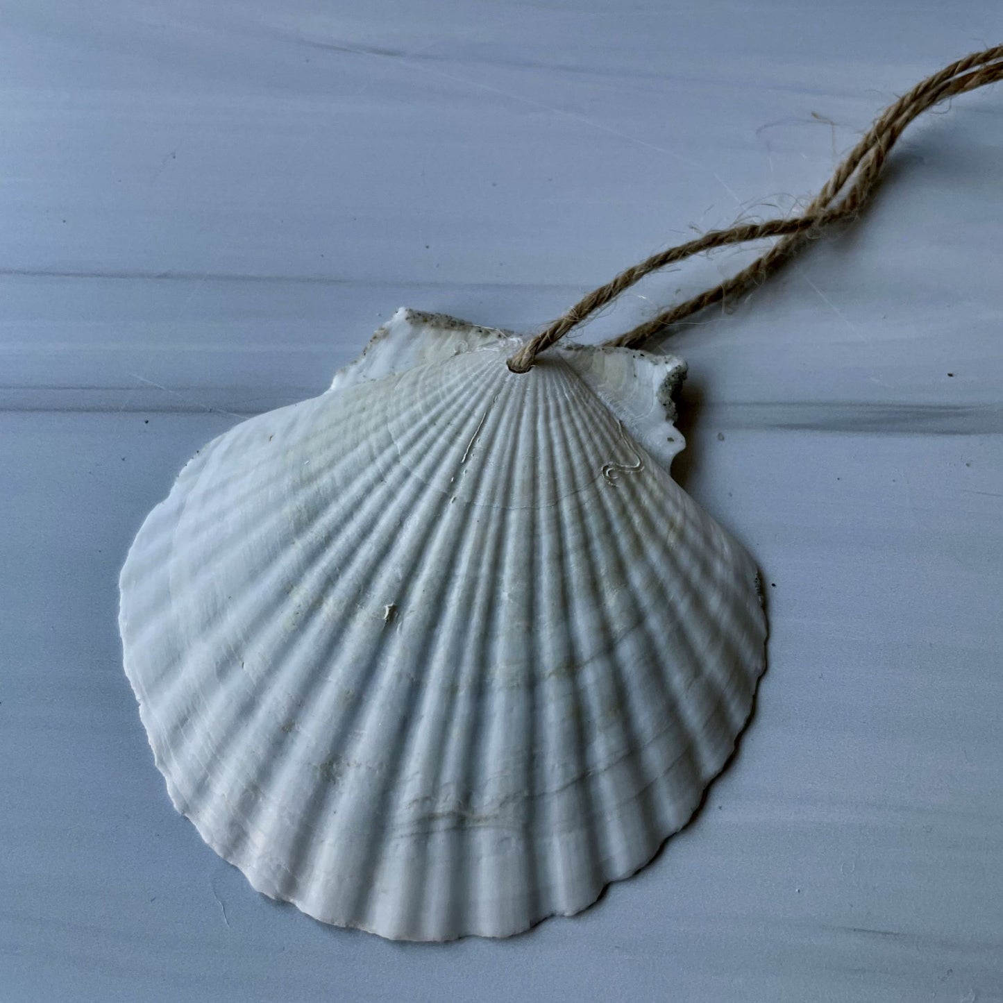 Holiday Ornament (#200)