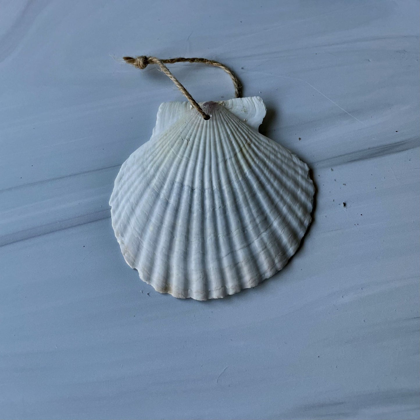 Holiday Ornament (#201)