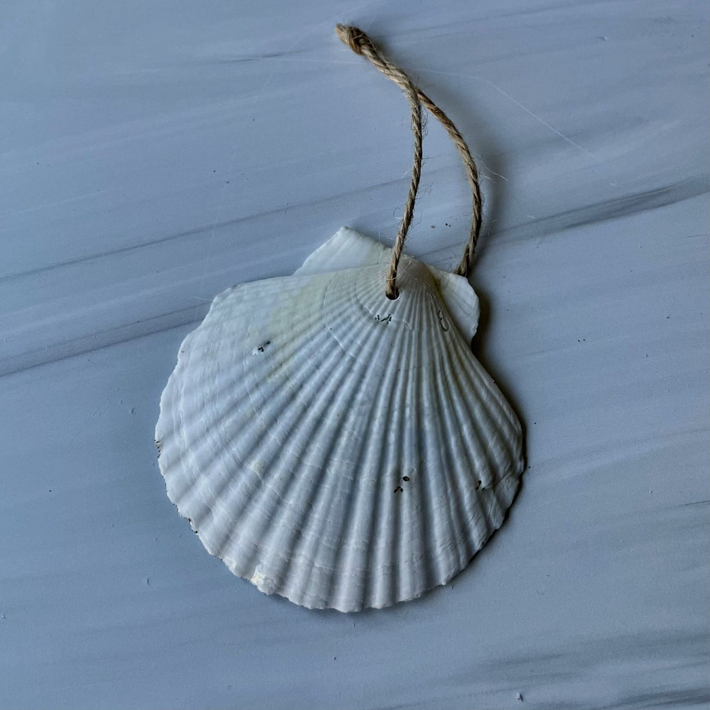 Holiday Ornament (#202)