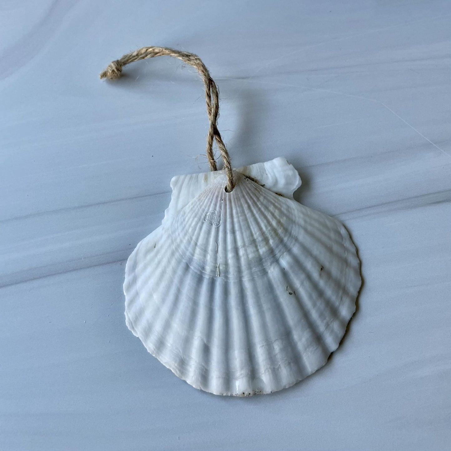 Holiday Ornament (#203)