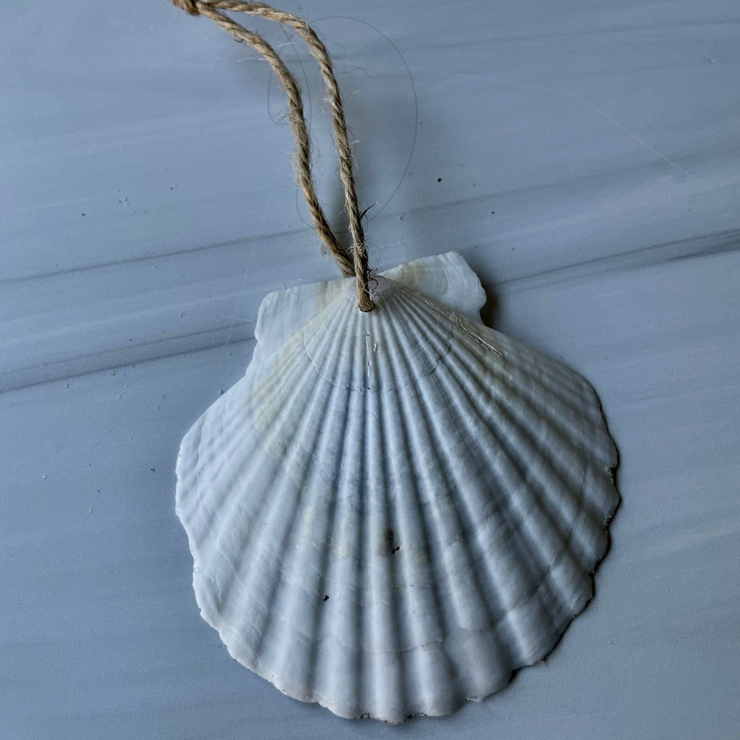 Holiday Ornament (#204)