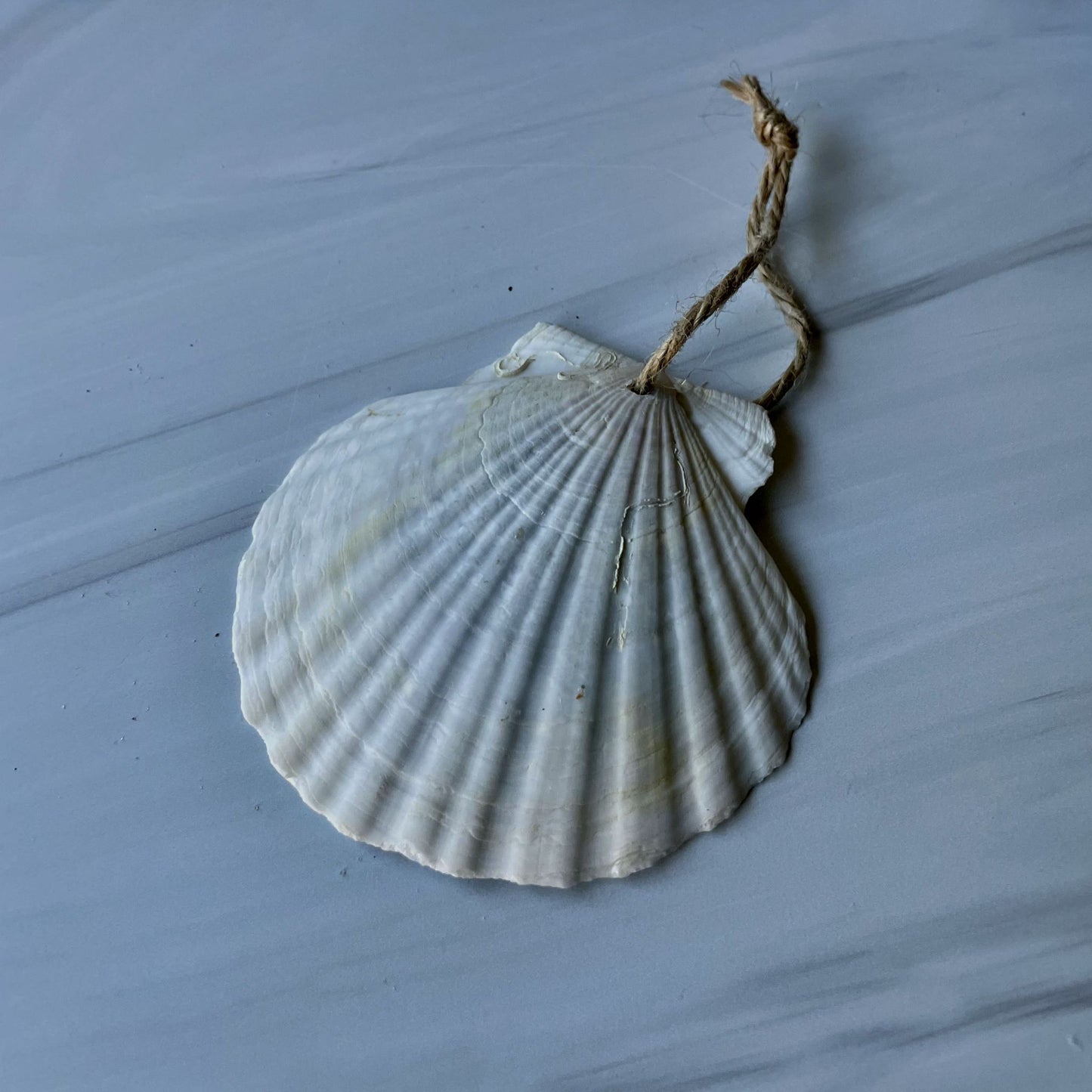 Holiday Ornament (#205)