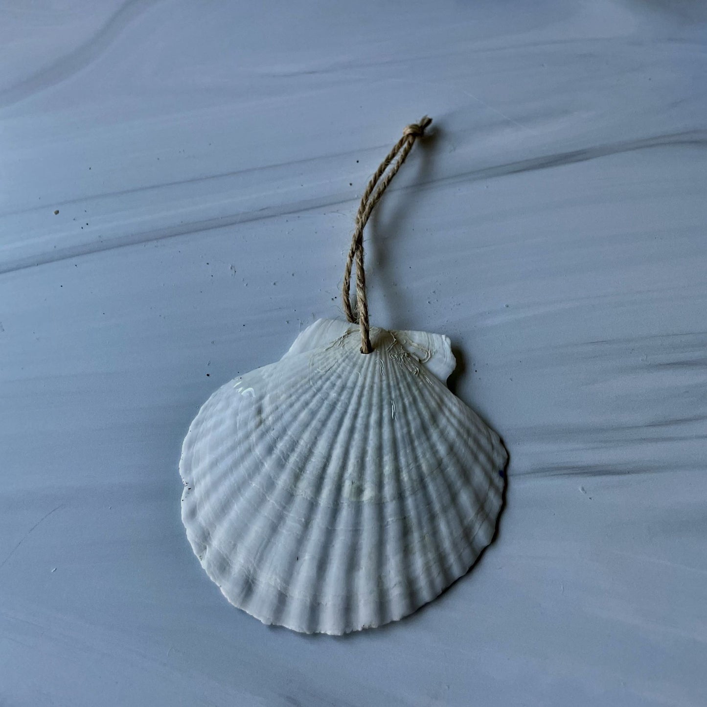 Holiday Ornament (#206)