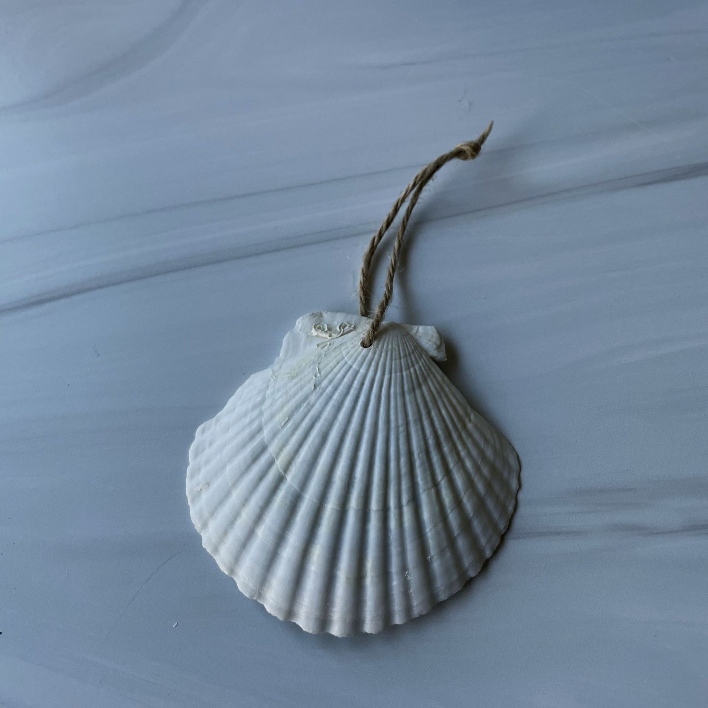 Holiday Ornament (#208)