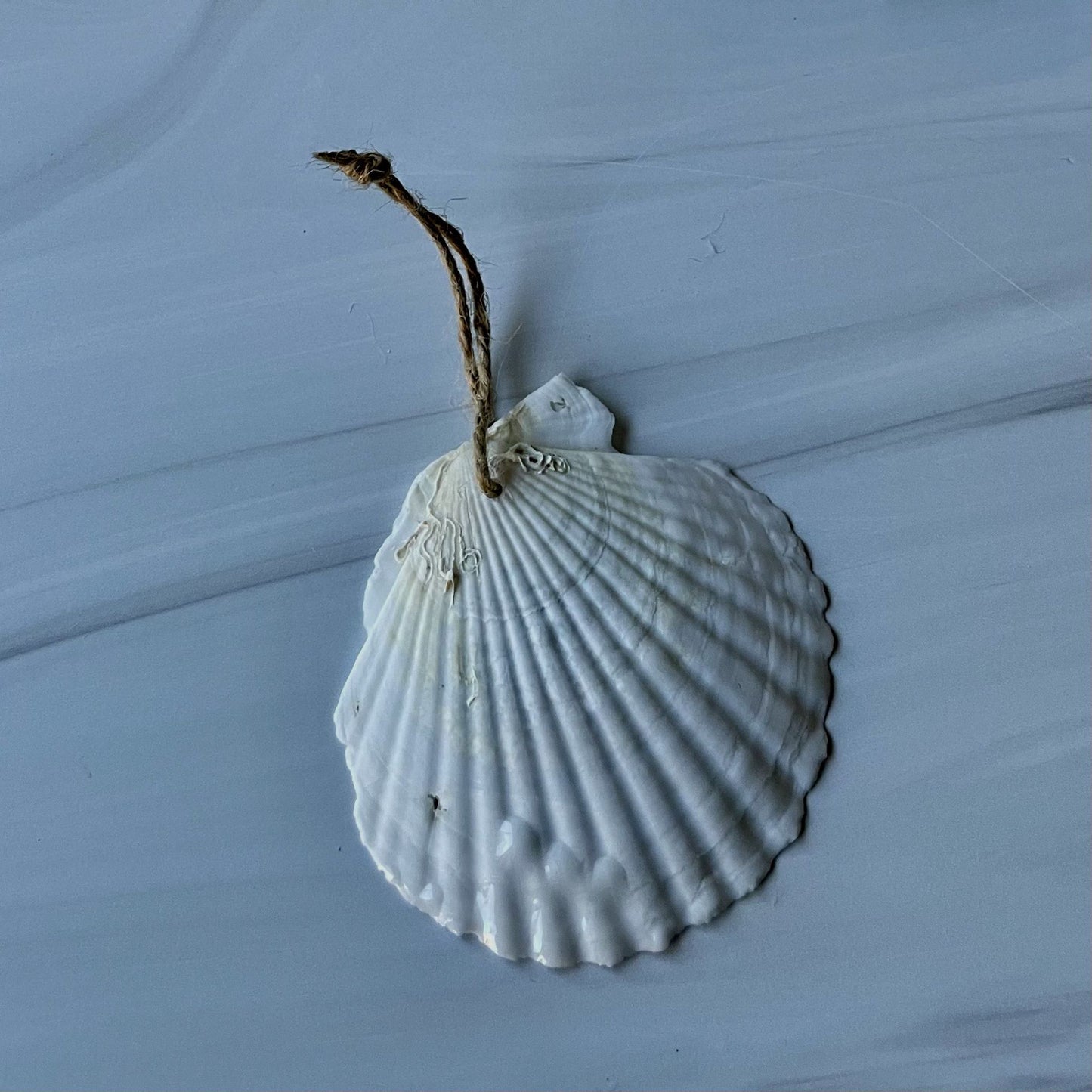 Holiday Ornament (#210)