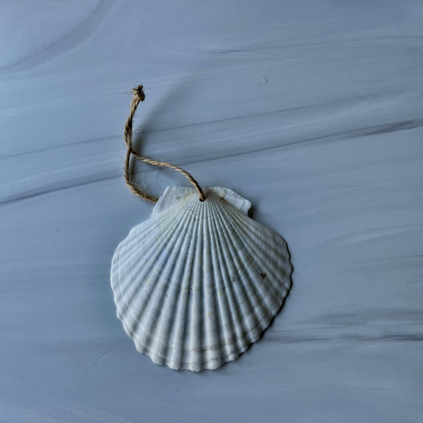Holiday Ornament (#211)