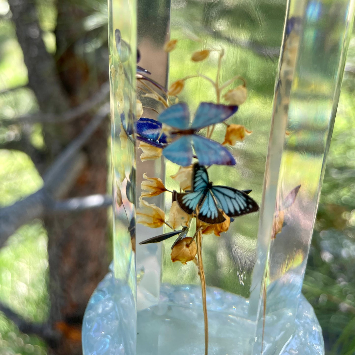 Clear Morpho Butterfly Hanging Sun Catcher