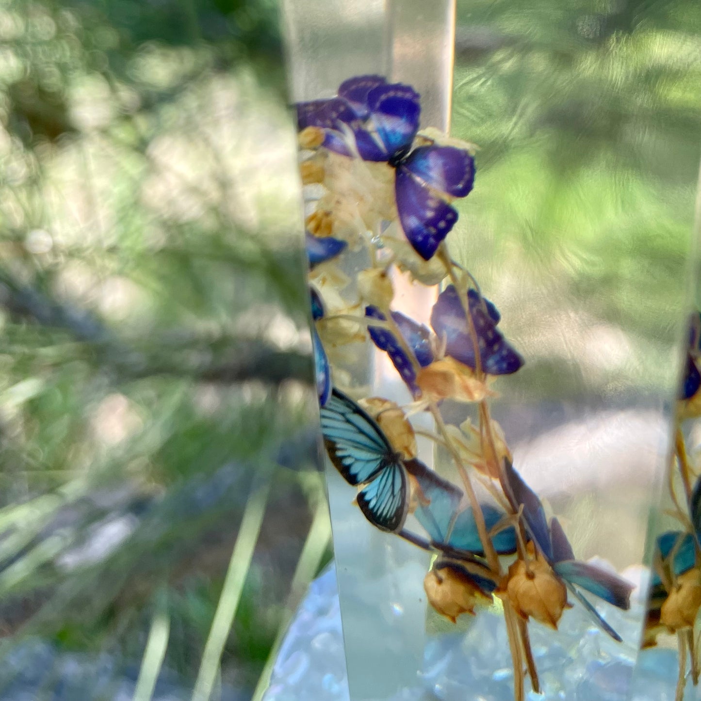 Clear Morpho Butterfly Hanging Sun Catcher