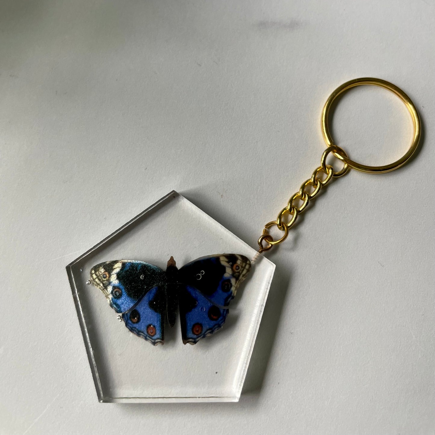 Nature Inspired Keychain (#5)