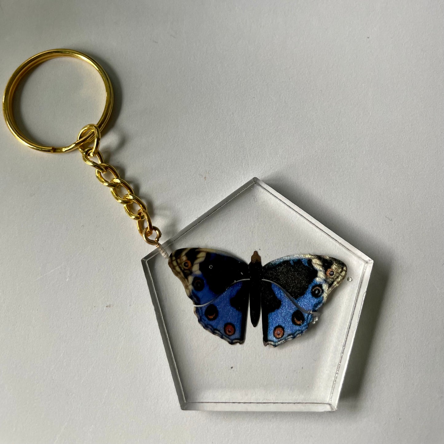 Nature Inspired Keychain (#5)