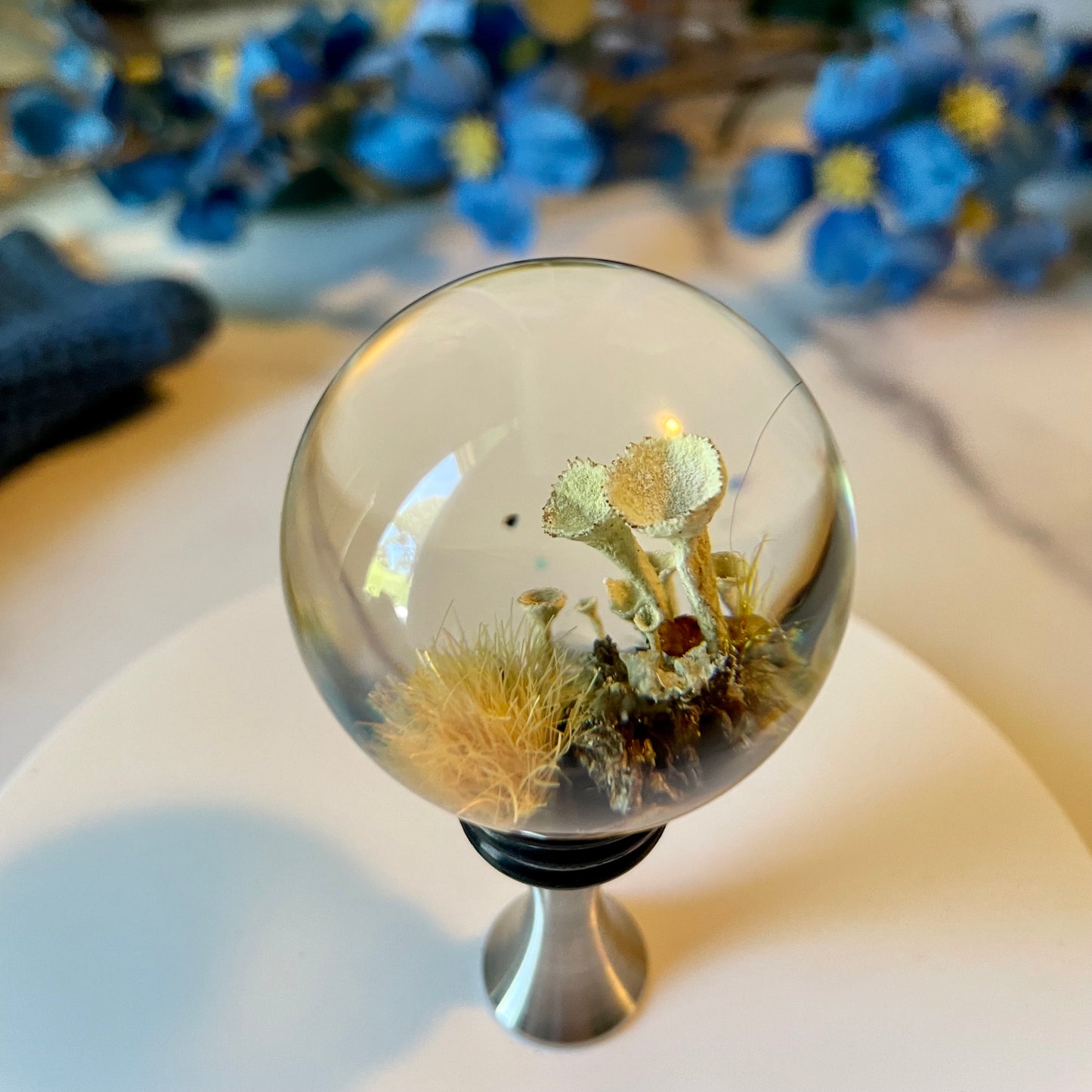 Stainless Steel Wine Stopper (#19)
