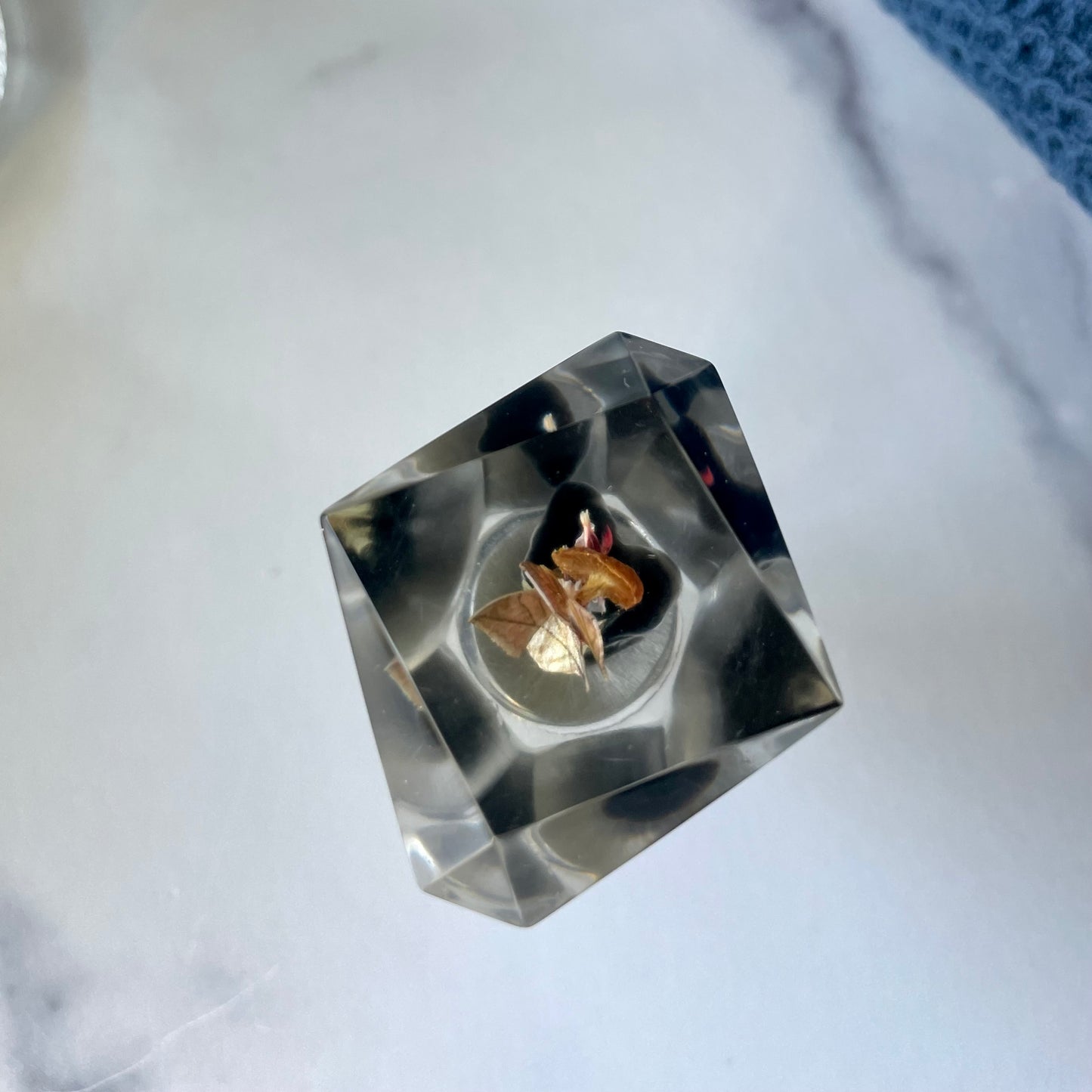 Stainless Steel Wine Stopper (#52)